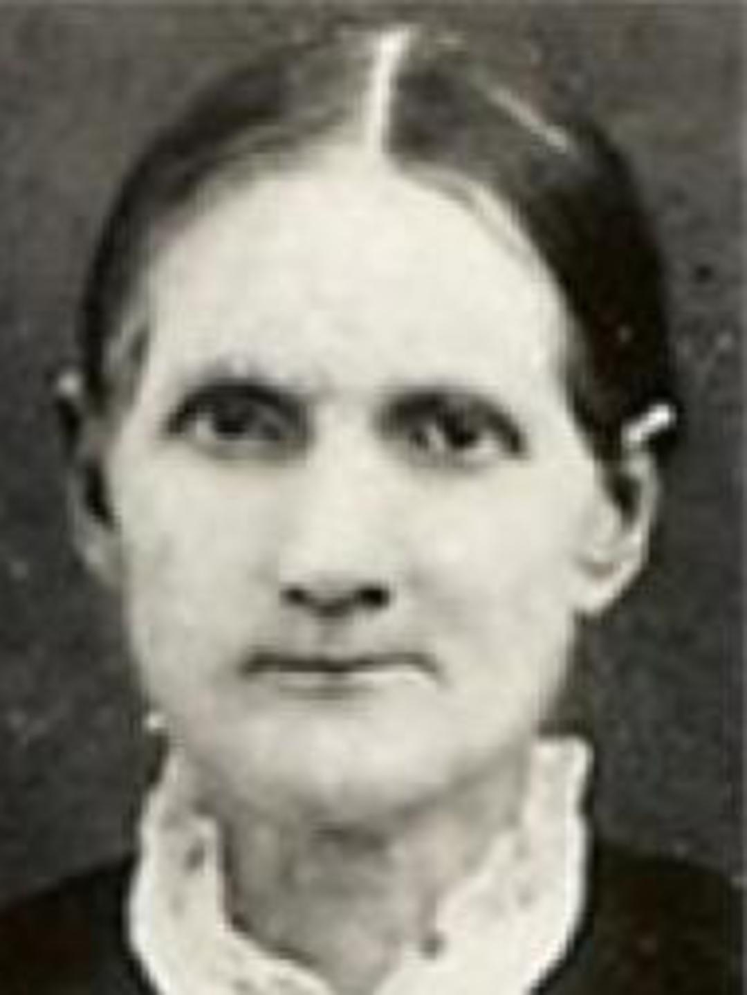 Sarah Melissa Dodge (1827 - 1890) Profile